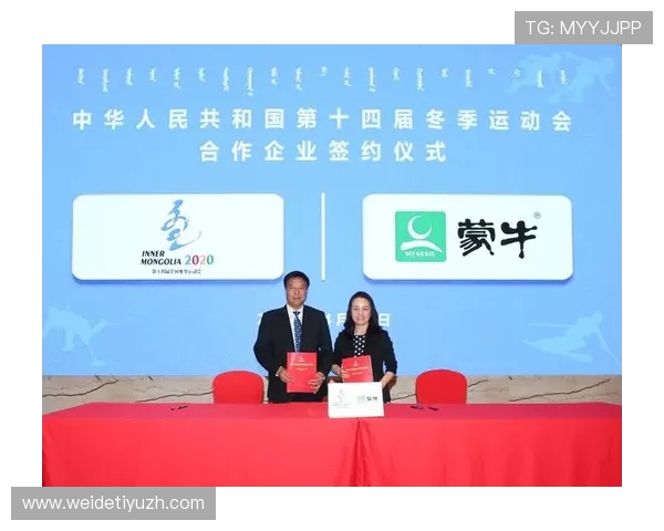 b体育官网平台：官方合作伙伴的选择标准与合作流程详解